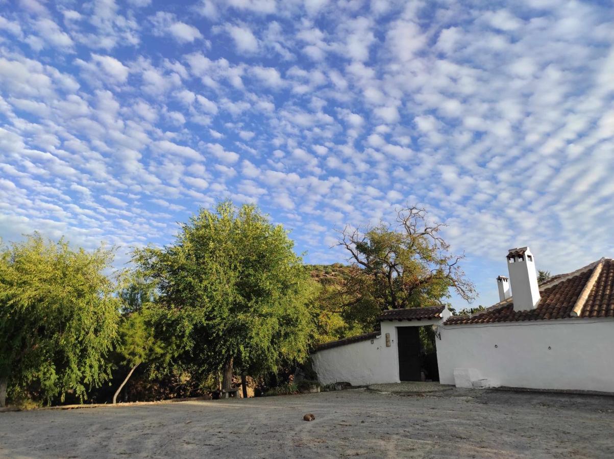 Pensjonat Cortijo La Gineta Alcalá la Real Zewnętrze zdjęcie